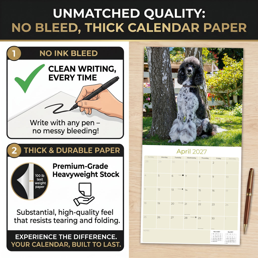 Poodle Wall Calendar 2027 - 12" x 12" Monthly Intelligent & Elegant Standard Poodle Breed Calendar
