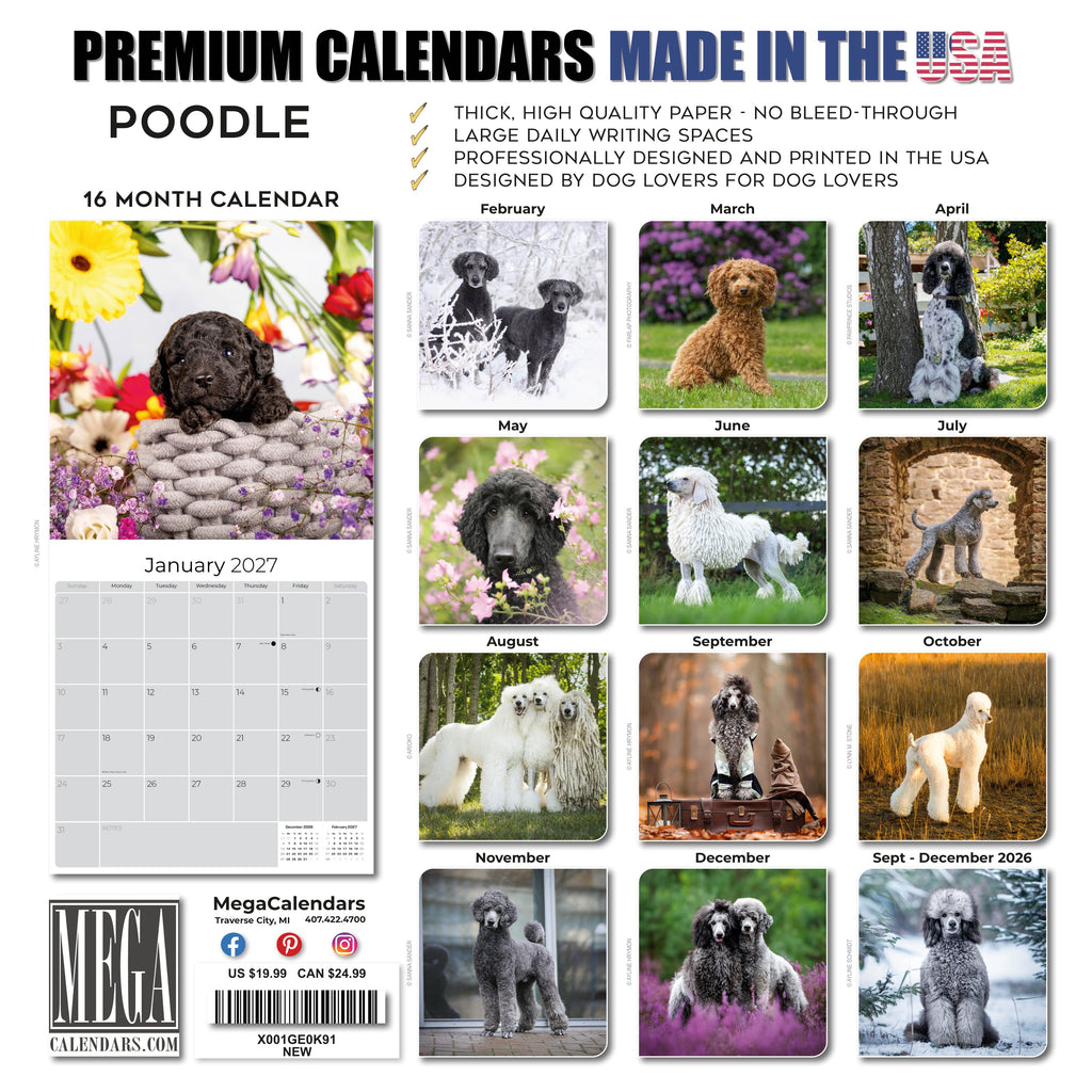 Poodle Wall Calendar 2027 - 12" x 12" Monthly Intelligent & Elegant Standard Poodle Breed Calendar