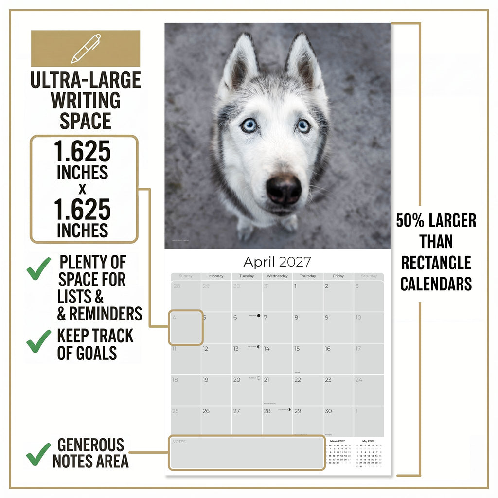 Siberian Husky Wall Calendar 2027 - 12" x 12" Monthly Athletic & Adventurous Husky Dog Breed Calendar
