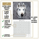 Siberian Husky Wall Calendar 2027 - 12" x 12" Monthly Athletic & Adventurous Husky Dog Breed Calendar