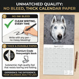 Siberian Husky Wall Calendar 2027 - 12" x 12" Monthly Athletic & Adventurous Husky Dog Breed Calendar