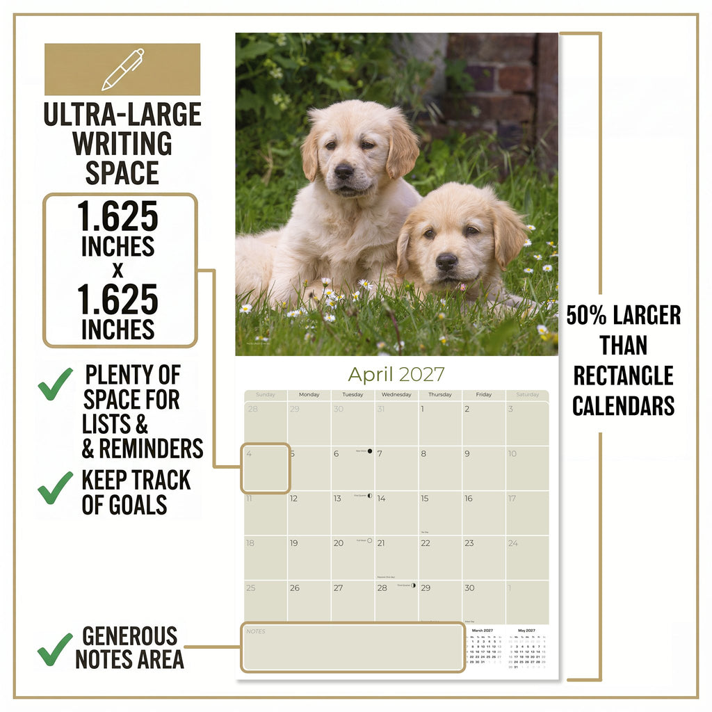 Golden Retriever Puppies Wall Calendar 2027 - 12" x 12" Monthly Adorable Golden Retriever Puppy Companion Calendar