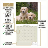 Golden Retriever Puppies Wall Calendar 2027 - 12" x 12" Monthly Adorable Golden Retriever Puppy Companion Calendar