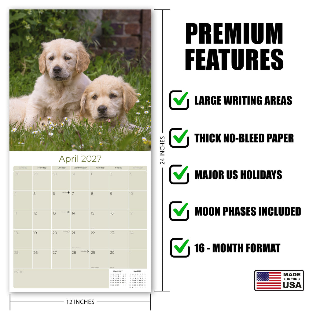 Golden Retriever Puppies Wall Calendar 2027 - 12" x 12" Monthly Adorable Golden Retriever Puppy Companion Calendar