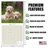 Golden Retriever Puppies Wall Calendar 2027 - 12" x 12" Monthly Adorable Golden Retriever Puppy Companion Calendar
