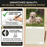 Golden Retriever Puppies Wall Calendar 2027 - 12" x 12" Monthly Adorable Golden Retriever Puppy Companion Calendar