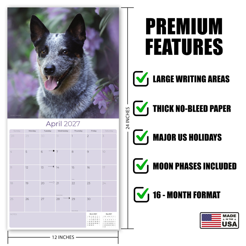 Blue Heeler Wall Calendar 2027 - 12" x 12" Monthly Quick Loyal Australian Herding Dog Breed Calendar