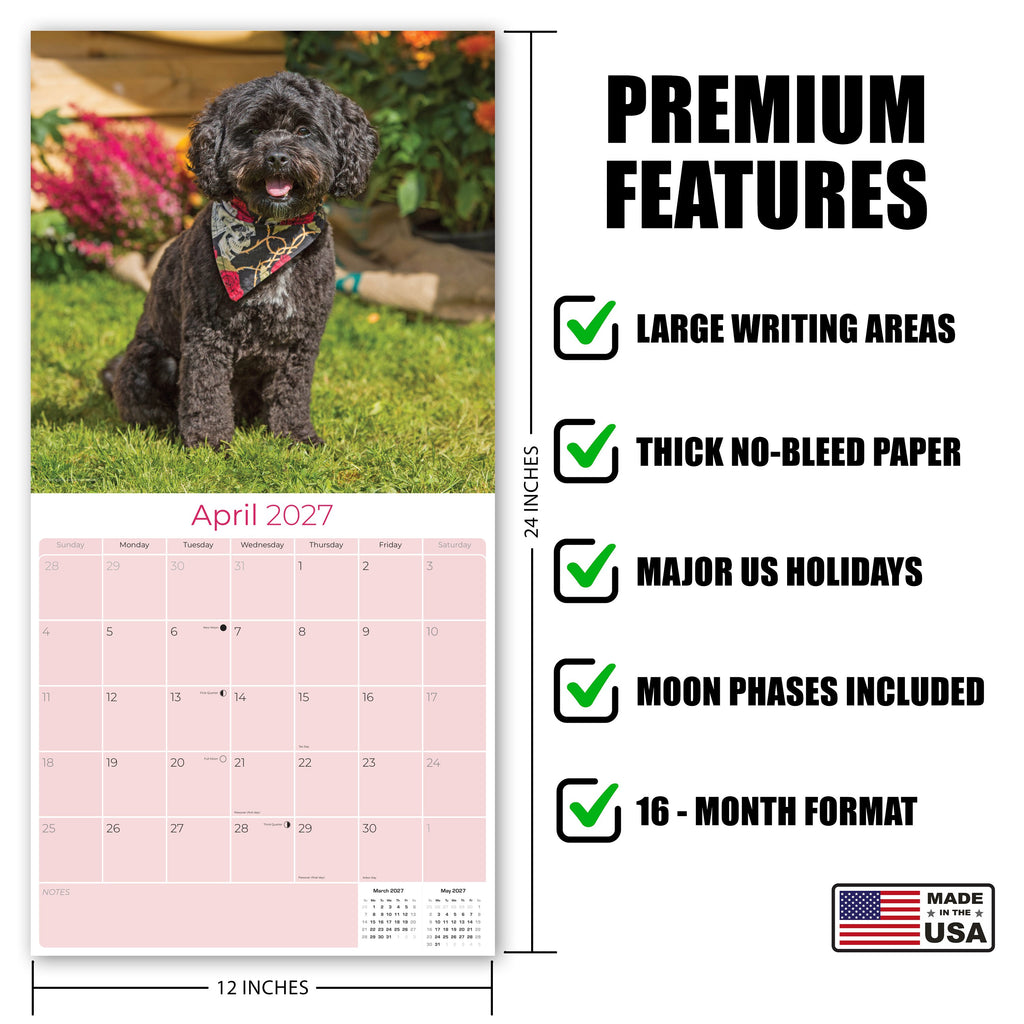 Cavapoo Wall Calendar 2027 - 12" x 12" Monthly Loving Intelligent Designer Cavoodle Calendar