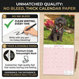 Cavapoo Wall Calendar 2027 - 12" x 12" Monthly Loving Intelligent Designer Cavoodle Calendar