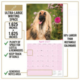 Afghan Hound Wall Calendar 2027 - 12" x 12" Monthly Dog Breed Calendar