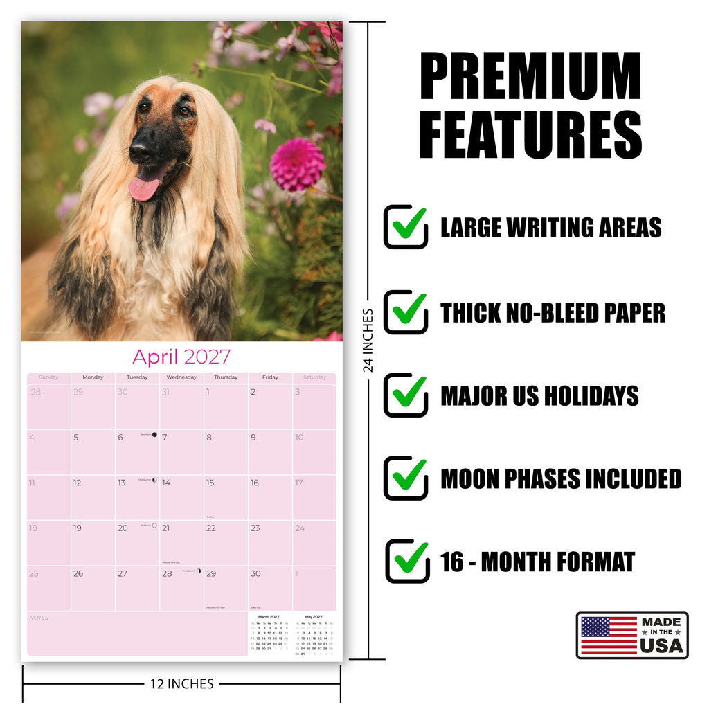 Afghan Hound Wall Calendar 2027 - 12" x 12" Monthly Dog Breed Calendar