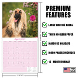 Afghan Hound Wall Calendar 2027 - 12" x 12" Monthly Dog Breed Calendar