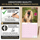 Afghan Hound Wall Calendar 2027 - 12" x 12" Monthly Dog Breed Calendar