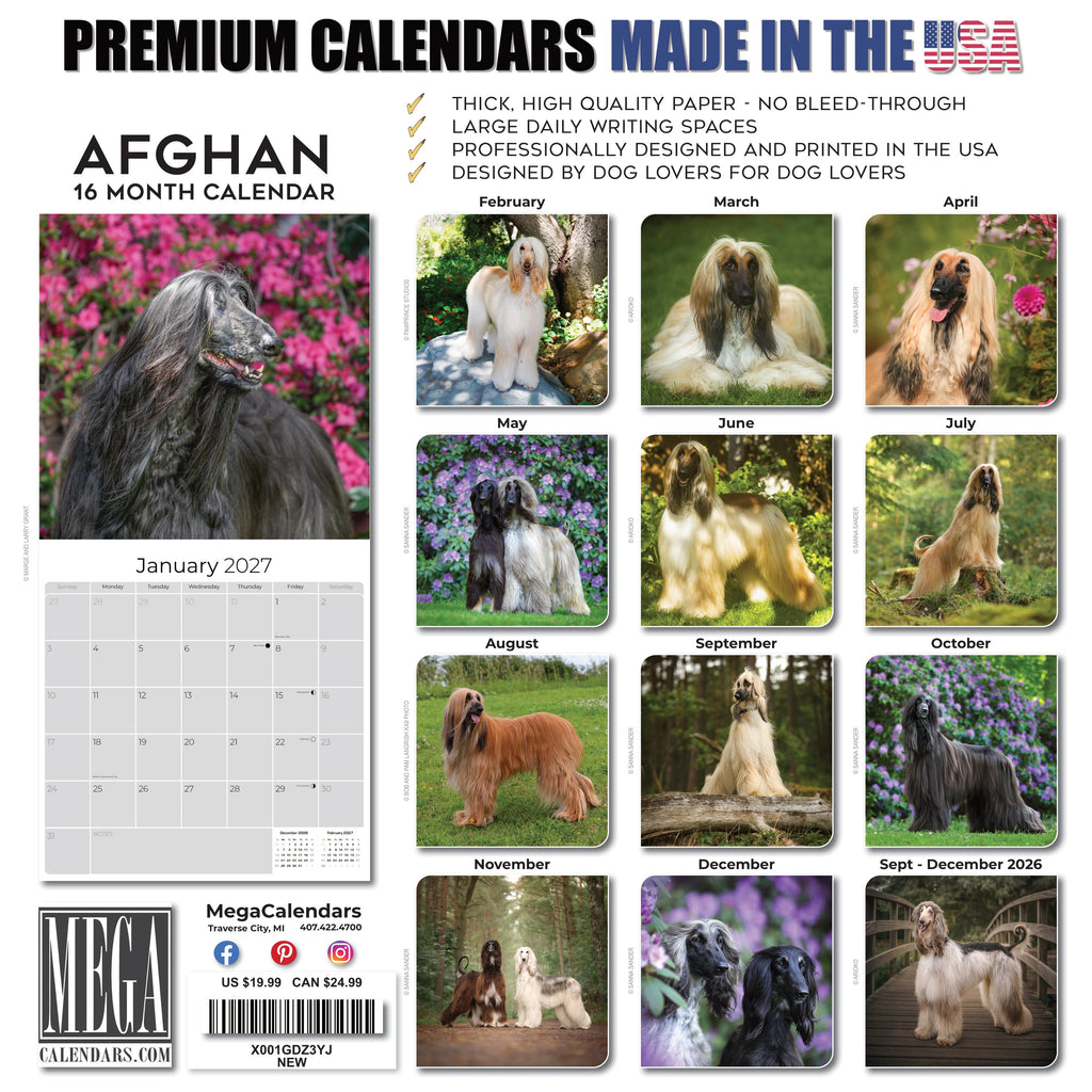 Afghan Hound Wall Calendar 2027 - 12" x 12" Monthly Dog Breed Calendar