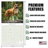 American Staffordshire Terrier Wall Calendar 2027 - 12" x 12" Monthly Strong & Confident AmStaff Breed Calendar