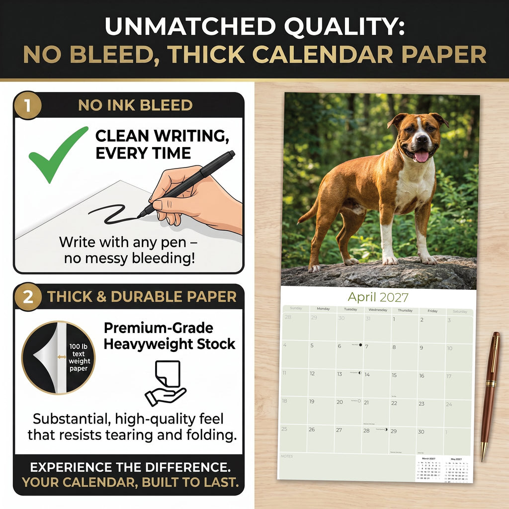 American Staffordshire Terrier Wall Calendar 2027 - 12" x 12" Monthly Strong & Confident AmStaff Breed Calendar