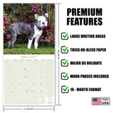 Boston Terrier Wall Calendar 2027 - 12" x 12" Monthly Lively Amusing American Gentleman Calendar