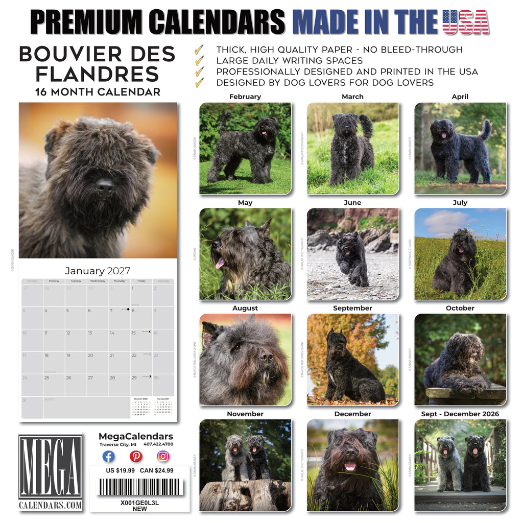 Bouvier de Flandres Wall Calendar 2027 - 12" x 12" Monthly Powerful Belgian Herding Dog Breed Calendar