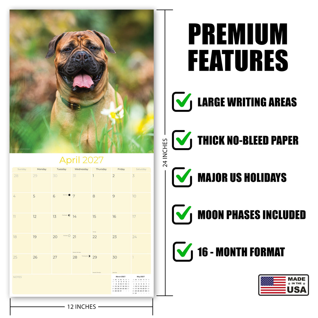 Bullmastiff Wall Calendar 2027 - 12" x 12" Monthly Brave Affectionate Giant Guard Dog Calendar