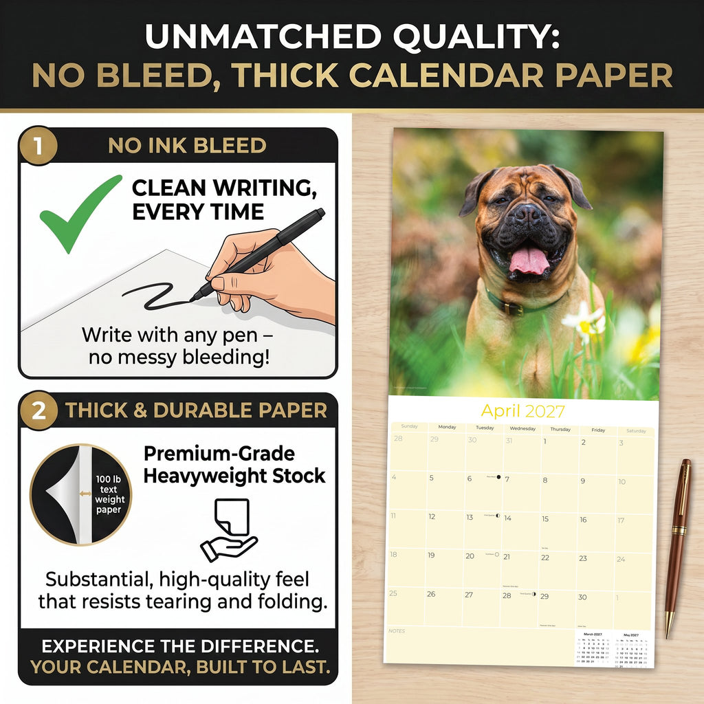 Bullmastiff Wall Calendar 2027 - 12" x 12" Monthly Brave Affectionate Giant Guard Dog Calendar