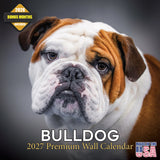 Bulldog Wall Calendar 2027 - 12" x 12" Monthly Courageous Calm English Bulldog Calendar
