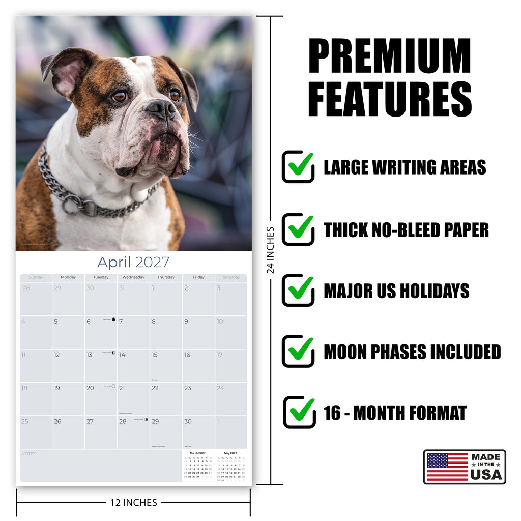 Bulldog Wall Calendar 2027 - 12" x 12" Monthly Courageous Calm English Bulldog Calendar