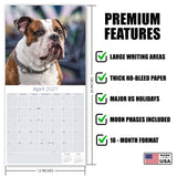 Bulldog Wall Calendar 2027 - 12" x 12" Monthly Courageous Calm English Bulldog Calendar