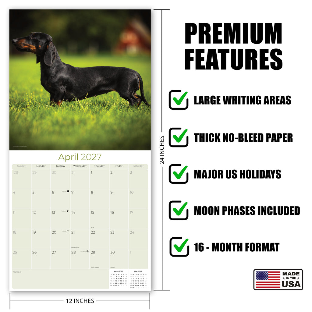 Dachshund Wall Calendar 2027 - 12" x 12" Monthly Clever Smooth & Long Badger Hound Dog Breed Calendar