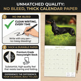 Dachshund Wall Calendar 2027 - 12" x 12" Monthly Clever Smooth & Long Badger Hound Dog Breed Calendar