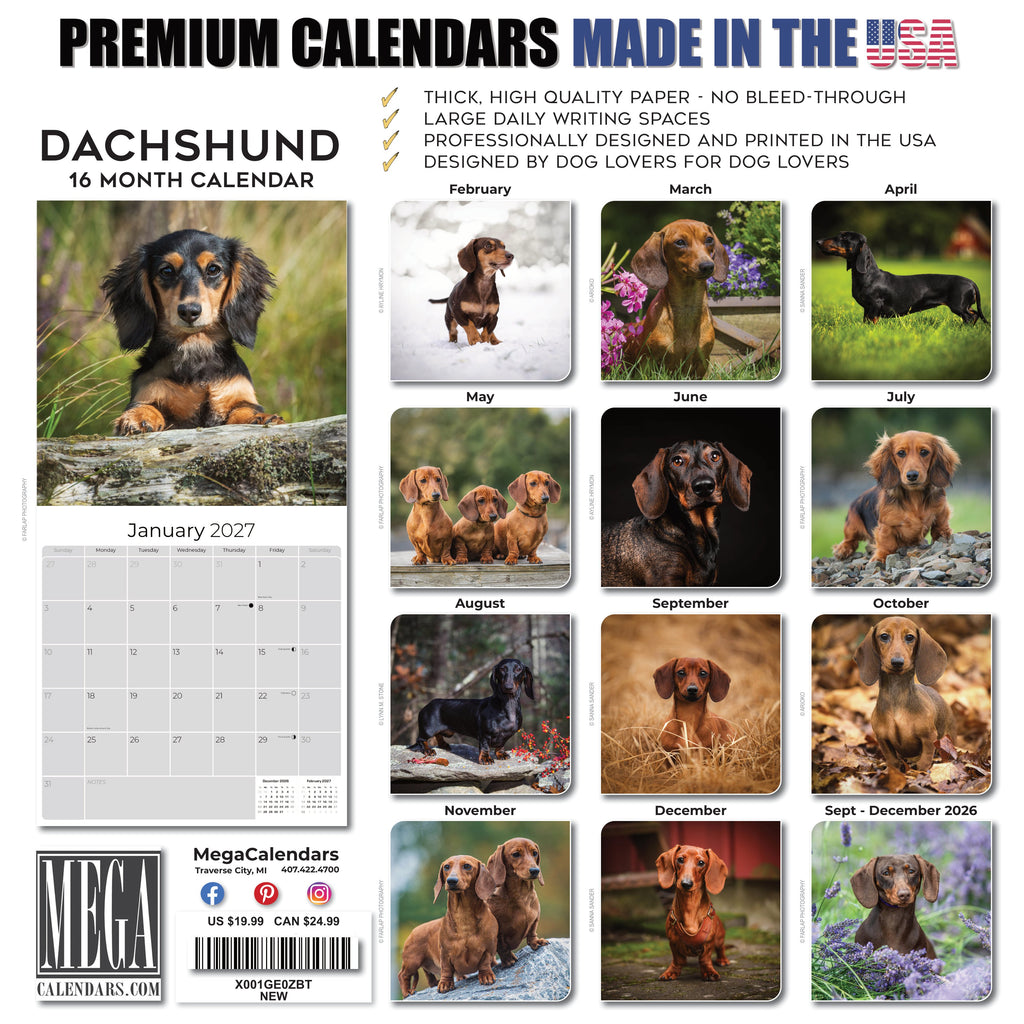 Dachshund Wall Calendar 2027 - 12" x 12" Monthly Clever Smooth & Long Badger Hound Dog Breed Calendar