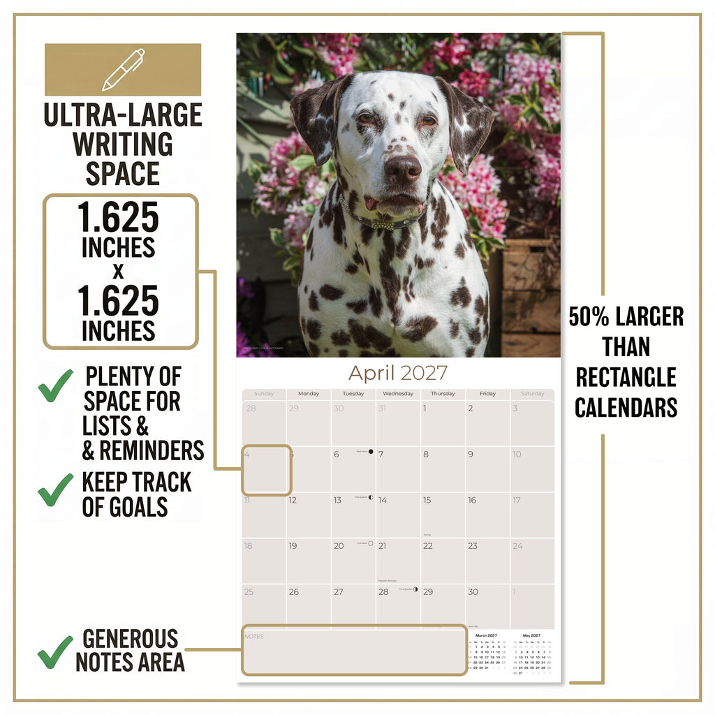 Dalmatian Wall Calendar 2027 - 12" x 12" Monthly Sleek Spotted Coach & Firehouse Dog Breed Calendar