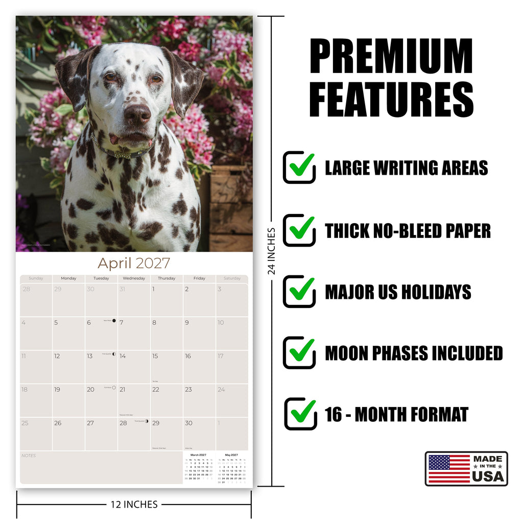 Dalmatian Wall Calendar 2027 - 12" x 12" Monthly Sleek Spotted Coach & Firehouse Dog Breed Calendar
