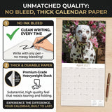 Dalmatian Wall Calendar 2027 - 12" x 12" Monthly Sleek Spotted Coach & Firehouse Dog Breed Calendar
