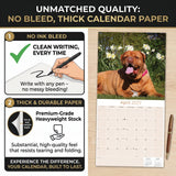 Dogue de Bordeaux Wall Calendar 2027 - 12" x 12" Monthly Powerful French Mastiff & Wrinkled Bordeaux Dog Calendar