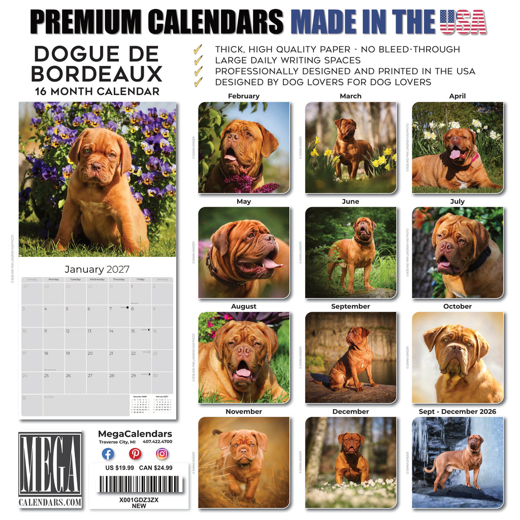 Dogue de Bordeaux Wall Calendar 2027 - 12" x 12" Monthly Powerful French Mastiff & Wrinkled Bordeaux Dog Calendar