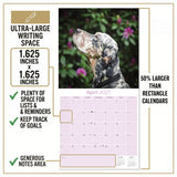 English Setter Wall Calendar 2027 - 12" x 12" Monthly Elegant Feathered Belton & English Setter Gundog Calendar