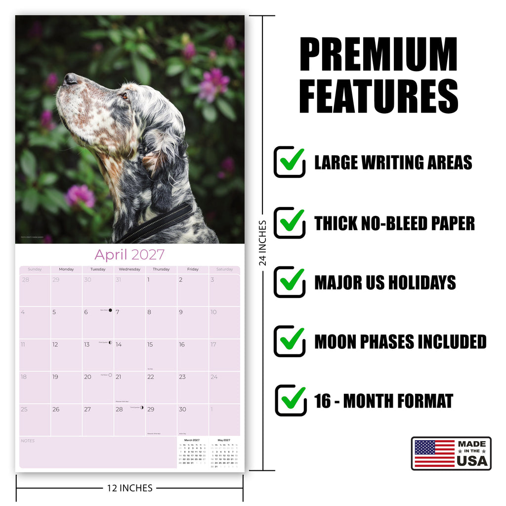 English Setter Wall Calendar 2027 - 12" x 12" Monthly Elegant Feathered Belton & English Setter Gundog Calendar