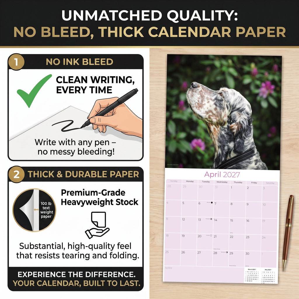 English Setter Wall Calendar 2027 - 12" x 12" Monthly Elegant Feathered Belton & English Setter Gundog Calendar