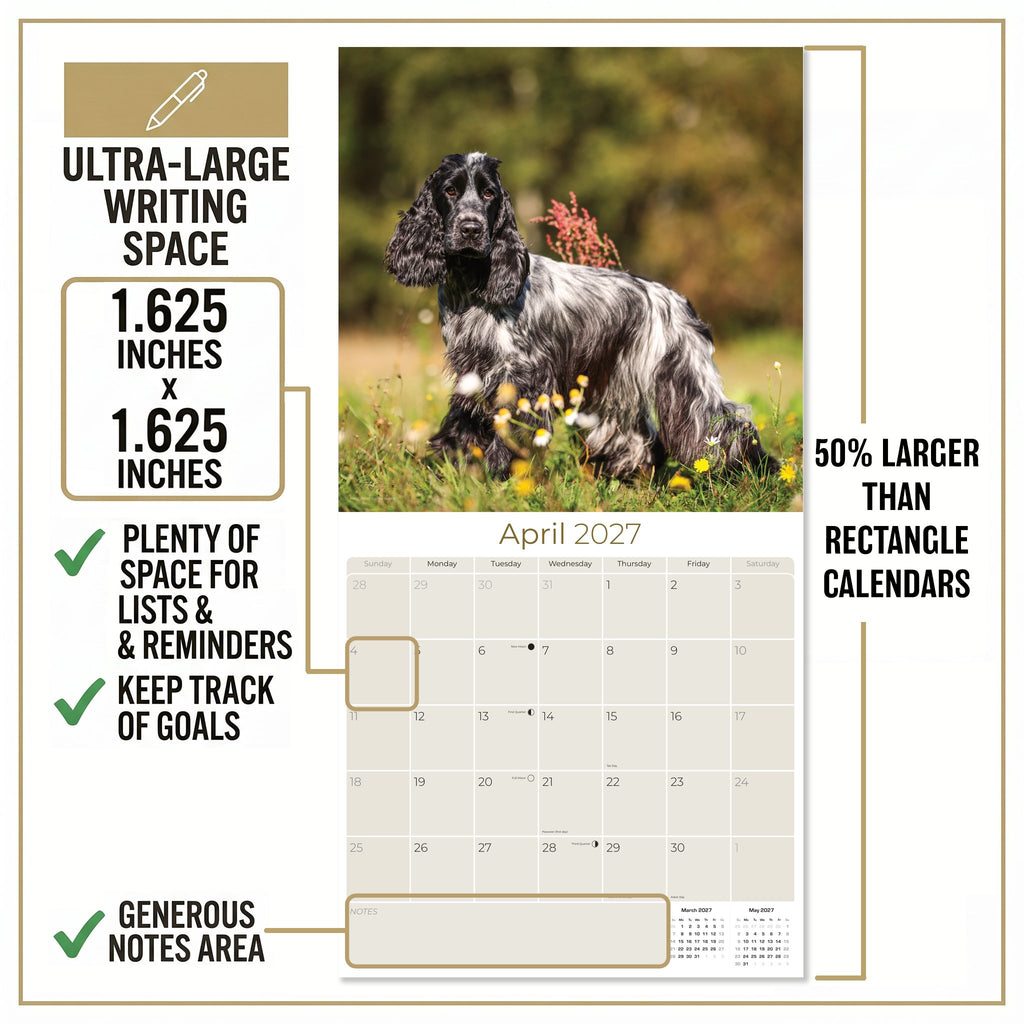 English Cocker Spaniel Wall Calendar 2027 - 12" x 12" Monthly Elegant English Cocker & Long-Eared Gundog Calendar