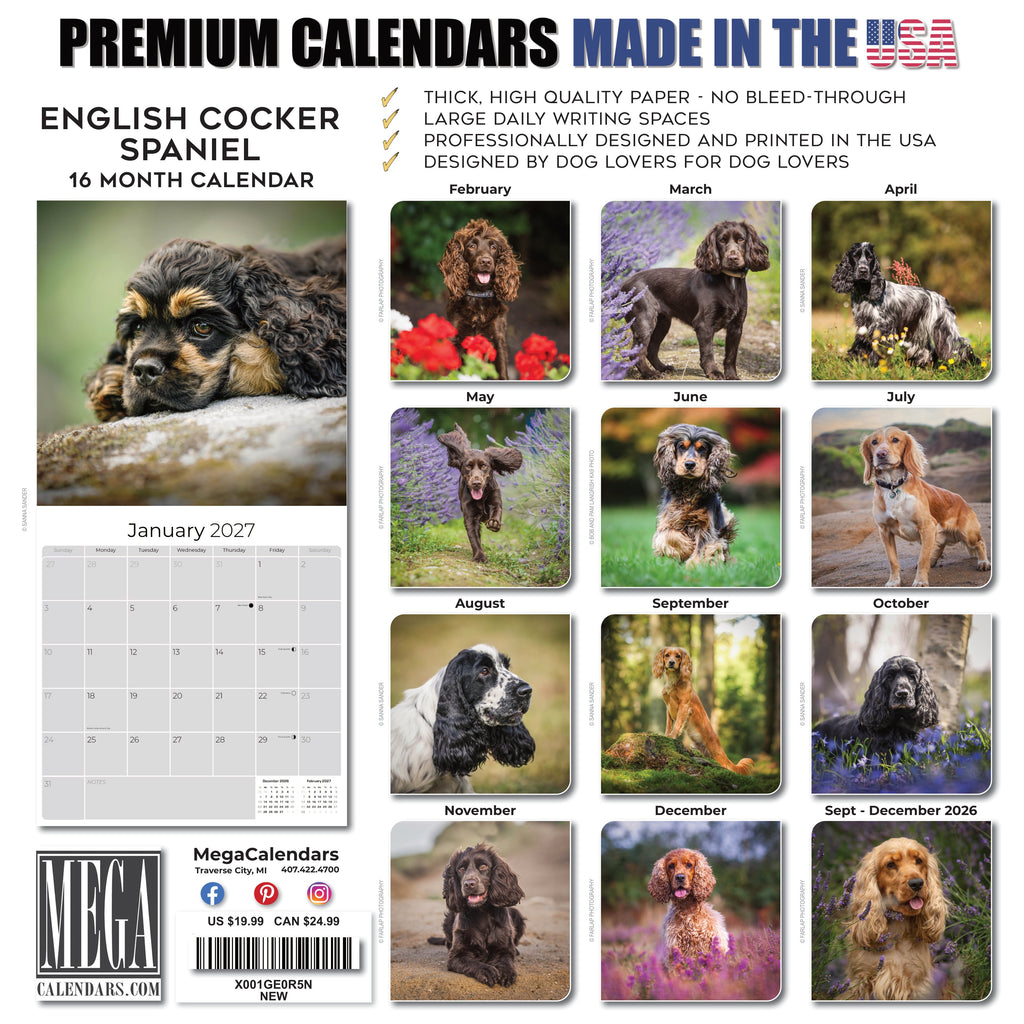 English Cocker Spaniel Wall Calendar 2027 - 12" x 12" Monthly Elegant English Cocker & Long-Eared Gundog Calendar