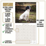 English Springer Spaniel (Euro) Wall Calendar 2027 - 12" x 12" Monthly Athletic European Springer Spaniel Field Dog Calendar