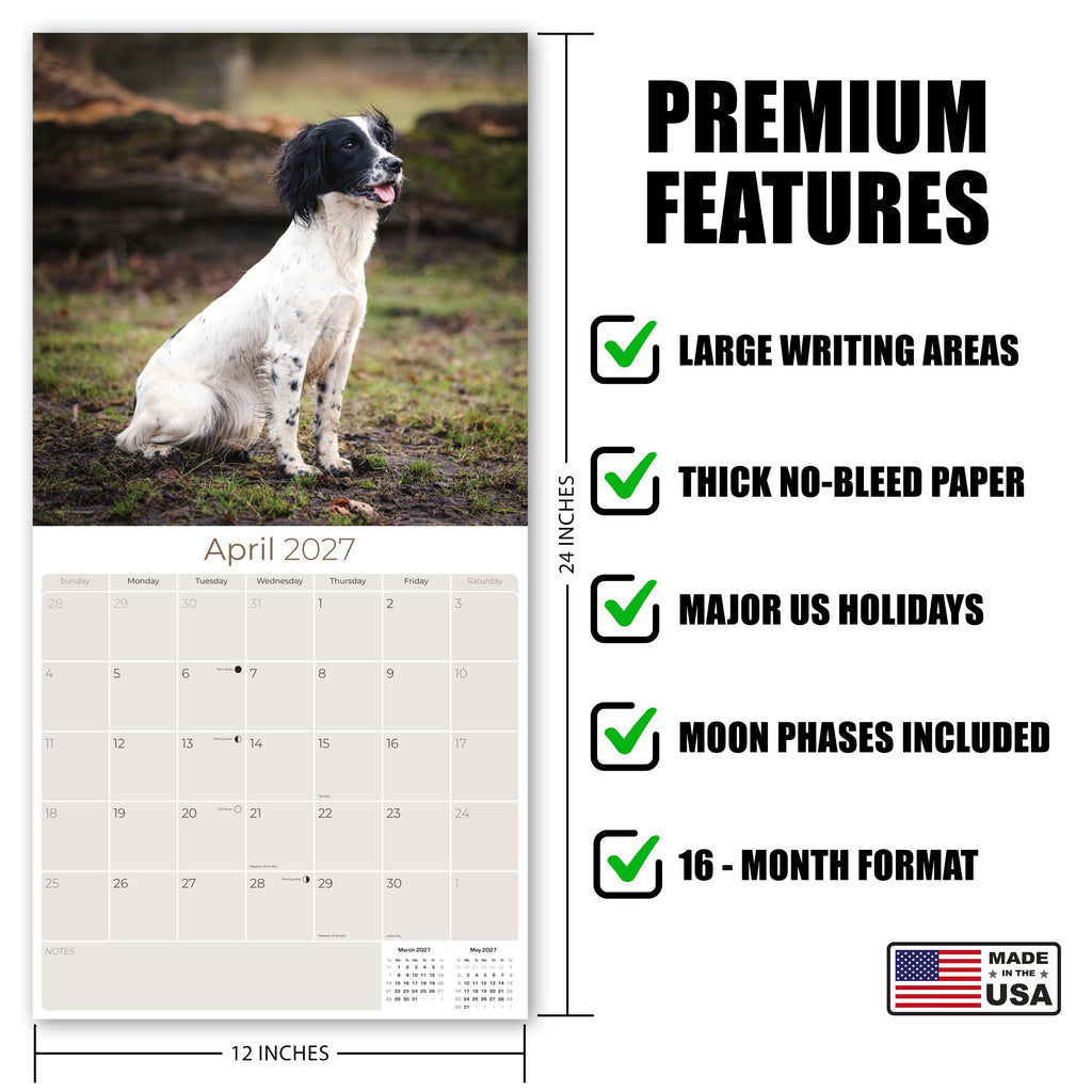 English Springer Spaniel (Euro) Wall Calendar 2027 - 12" x 12" Monthly Athletic European Springer Spaniel Field Dog Calendar