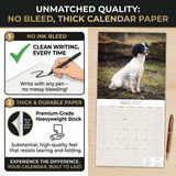 English Springer Spaniel (Euro) Wall Calendar 2027 - 12" x 12" Monthly Athletic European Springer Spaniel Field Dog Calendar