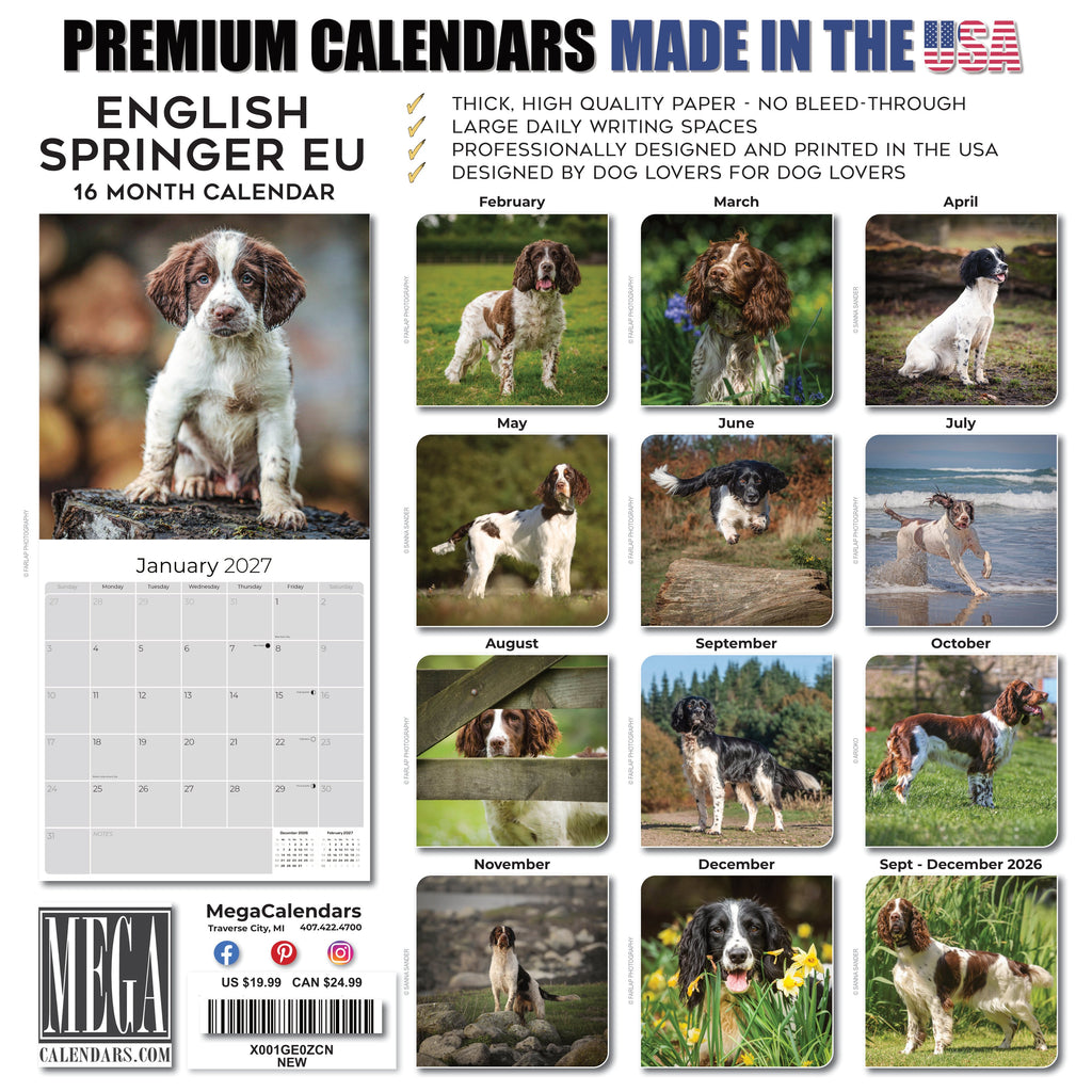 English Springer Spaniel (Euro) Wall Calendar 2027 - 12" x 12" Monthly Athletic European Springer Spaniel Field Dog Calendar
