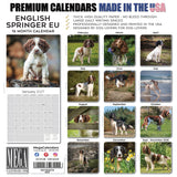 English Springer Spaniel (Euro) Wall Calendar 2027 - 12" x 12" Monthly Athletic European Springer Spaniel Field Dog Calendar