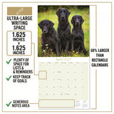 Flatcoated Retriever Wall Calendar 2027 - 12" x 12" Monthly Sleek Black Flattie Sporting Gundog Breed Calendar