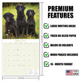 Flatcoated Retriever Wall Calendar 2027 - 12" x 12" Monthly Sleek Black Flattie Sporting Gundog Breed Calendar