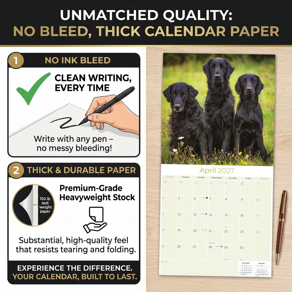 Flatcoated Retriever Wall Calendar 2027 - 12" x 12" Monthly Sleek Black Flattie Sporting Gundog Breed Calendar