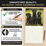 Flatcoated Retriever Wall Calendar 2027 - 12" x 12" Monthly Sleek Black Flattie Sporting Gundog Breed Calendar