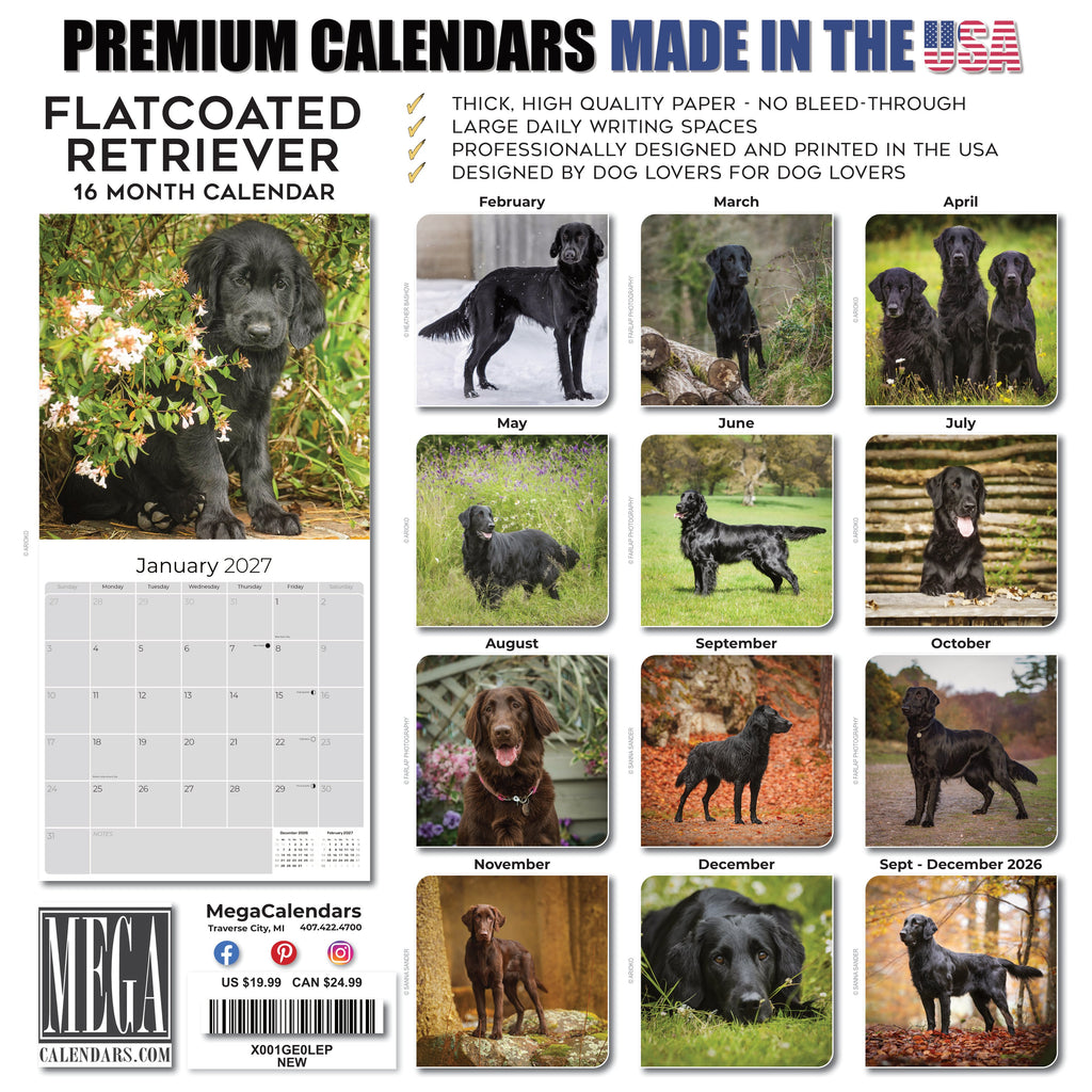 Flatcoated Retriever Wall Calendar 2027 - 12" x 12" Monthly Sleek Black Flattie Sporting Gundog Breed Calendar